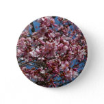 Cherry Blossoms and Blue Sky Spring Floral Pinback Button
