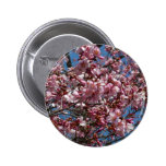 Cherry Blossoms and Blue Sky Spring Floral Pinback Button