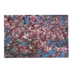 Cherry Blossoms and Blue Sky Spring Floral Placemat