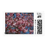 Cherry Blossoms and Blue Sky Spring Floral Postage