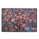 Cherry Blossoms and Blue Sky Spring Floral Powis iPad Air 2 Case