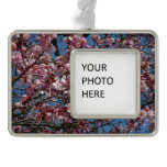 Cherry Blossoms and Blue Sky Spring Floral Silver Plated Framed Ornament