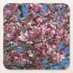 Cherry Blossoms and Blue Sky Spring Floral Square Paper Coaster