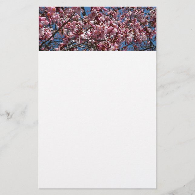 Cherry Blossoms and Blue Sky Spring Floral Stationery (Front)