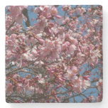 Cherry Blossoms and Blue Sky Spring Floral Stone Coaster