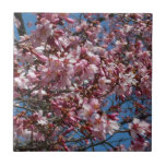 Cherry Blossoms and Blue Sky Spring Floral Tile