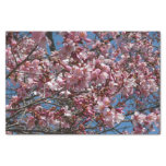 Cherry Blossoms and Blue Sky Spring Floral Tissue Paper