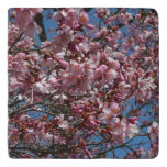 Cherry Blossoms and Blue Sky Spring Floral Trivet