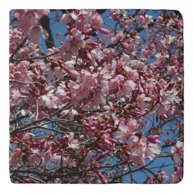 Cherry Blossoms and Blue Sky Spring Floral Trivet (Front)