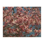 Cherry Blossoms and Blue Sky Spring Floral Wood Wall Art