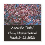 Cherry Blossoms and Blue Sky Spring Save the Date