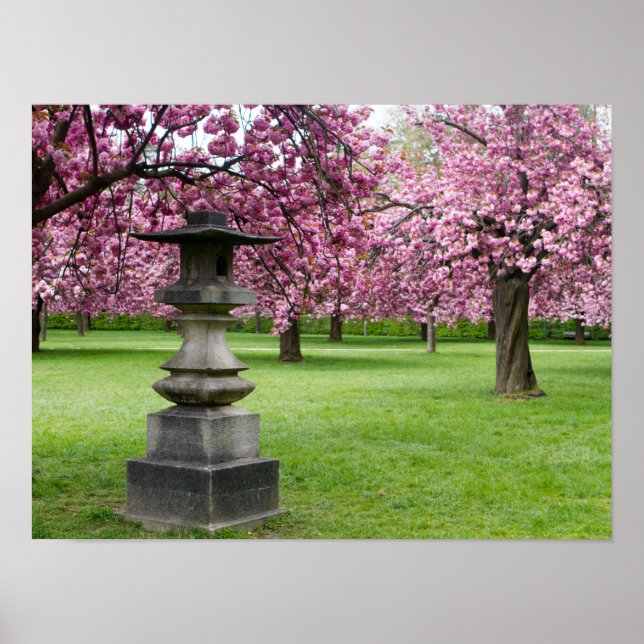 Cherry Blossoms and Pagoda Poster Paper (Matte) (Front)