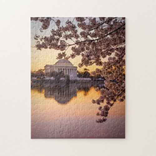 Cherry Blossoms And The Jefferson Memorial Jigsaw Puzzle