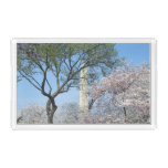 Cherry Blossoms and the Washington Monument in DC Acrylic Tray