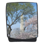 Cherry Blossoms and the Washington Monument in DC Backpack