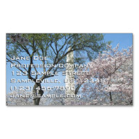 Cherry Blossoms and the Washington Monument in DC