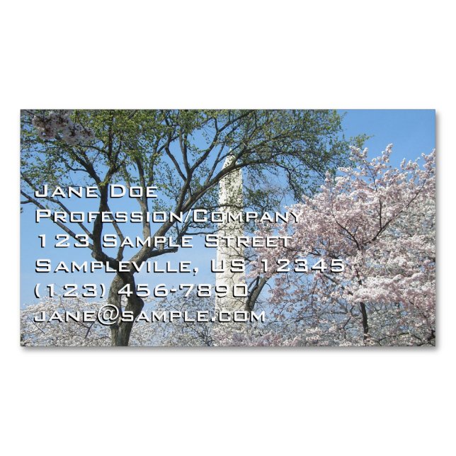 Cherry Blossoms and the Washington Monument in DC Business Card Magnet (Front)