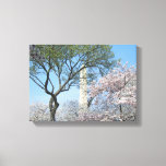 Cherry Blossoms and the Washington Monument in DC Canvas Print