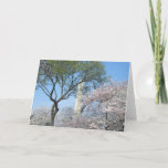 Cherry Blossoms and the Washington Monument in DC Card