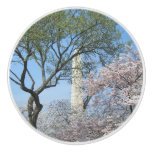 Cherry Blossoms and the Washington Monument in DC Ceramic Knob