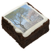 Cherry Blossoms and the Washington Monument in DC Chocolate Brownie (Angled)