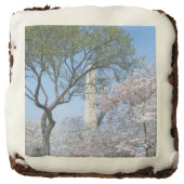 Cherry Blossoms and the Washington Monument in DC Chocolate Brownie (Front)