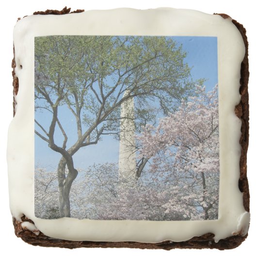 Cherry Blossoms and the Washington Monument in DC Chocolate Brownie (Front)
