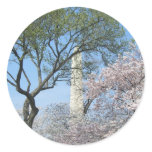 Cherry Blossoms and the Washington Monument in DC Classic Round Sticker