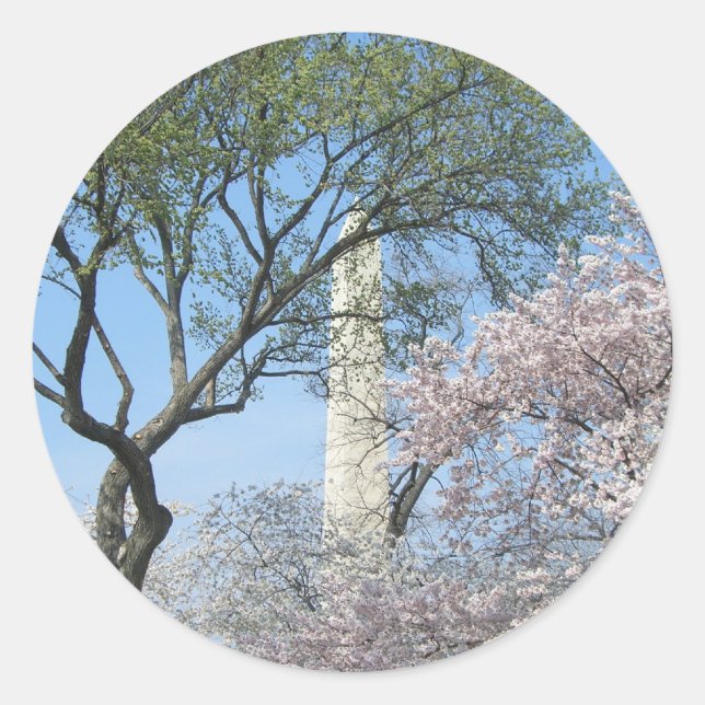Cherry Blossoms and the Washington Monument in DC Classic Round Sticker (Front)