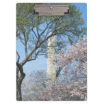 Cherry Blossoms and the Washington Monument in DC Clipboard