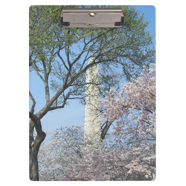 Cherry Blossoms and the Washington Monument in DC Clipboard (Front)