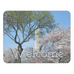Cherry Blossoms and the Washington Monument in DC Door Sign
