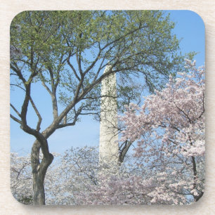 Cherry Blossoms and the Washington Monument in DC Drink Coaster