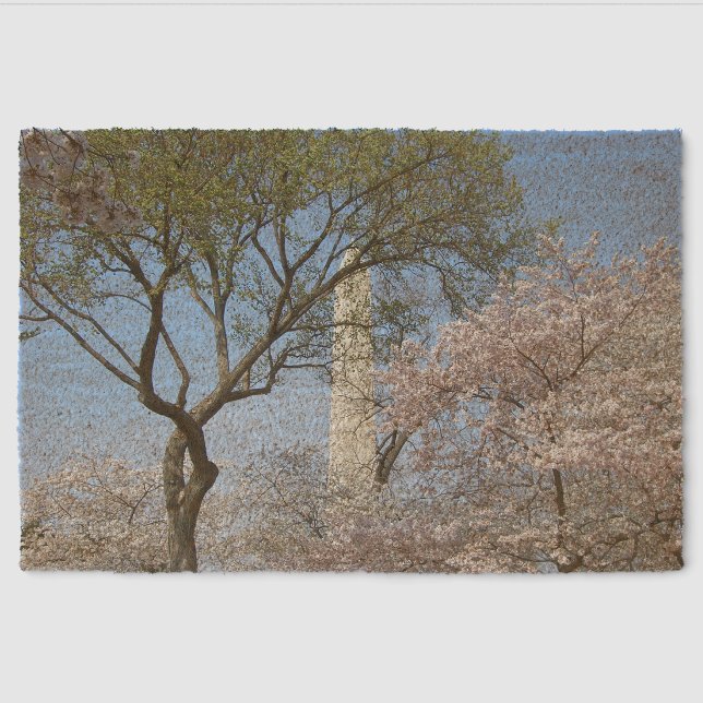 Cherry Blossoms and the Washington Monument in DC Fiber Doormat (Front)