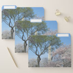 Cherry Blossoms and the Washington Monument in DC File Folder
