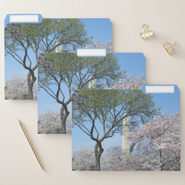 Cherry Blossoms and the Washington Monument in DC File Folder (Set)