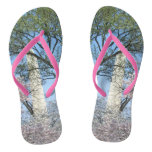 Cherry Blossoms and the Washington Monument in DC Flip Flops