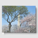 Cherry Blossoms and the Washington Monument in DC Guest Book