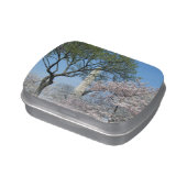 Cherry Blossoms and the Washington Monument in DC Jelly Belly Candy Tin (Side)