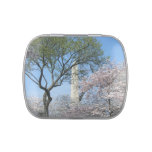Cherry Blossoms and the Washington Monument in DC Jelly Belly Candy Tin