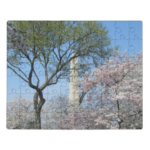 Cherry Blossoms and the Washington Monument in DC Jigsaw Puzzle