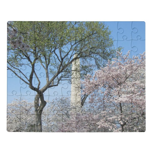Cherry Blossoms and the Washington Monument in DC Jigsaw Puzzle (Puzzle Horizontal)