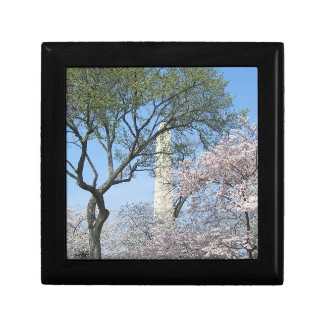 Cherry Blossoms and the Washington Monument in DC Keepsake Box (Front)