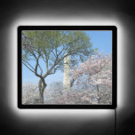Cherry Blossoms and the Washington Monument in DC LED Sign