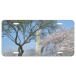 Cherry Blossoms and the Washington Monument in DC License Plate