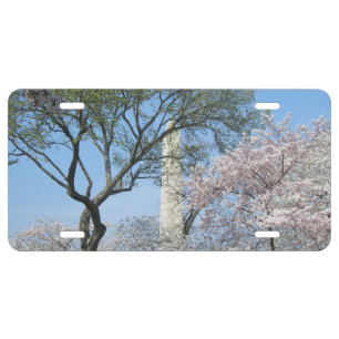 Cherry Blossoms and the Washington Monument in DC License Plate
