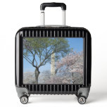 Cherry Blossoms and the Washington Monument in DC Luggage