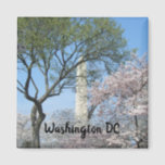 Cherry Blossoms and the Washington Monument in DC Magnet