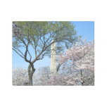 Cherry Blossoms and the Washington Monument in DC Metal Print