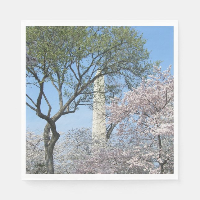 Cherry Blossoms and the Washington Monument in DC Napkins (Front)